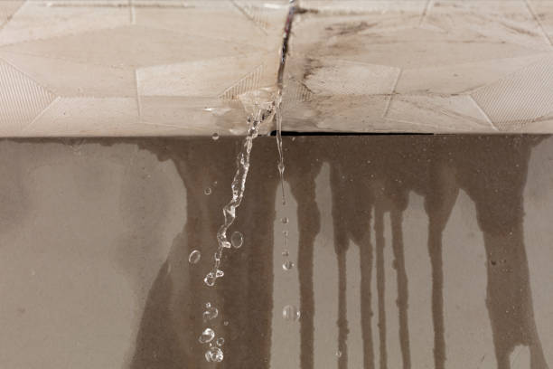 Professional Structural Drying technician working in Stonington, CT